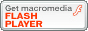 Install Adobe Flash Player